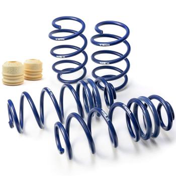 Lowering Springs
